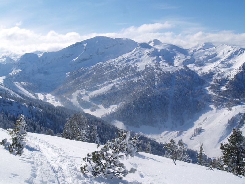 Pharmacie de voyage pour les vacances à la campagne ou à la montagne
